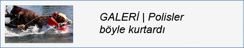 FOTO GALER�